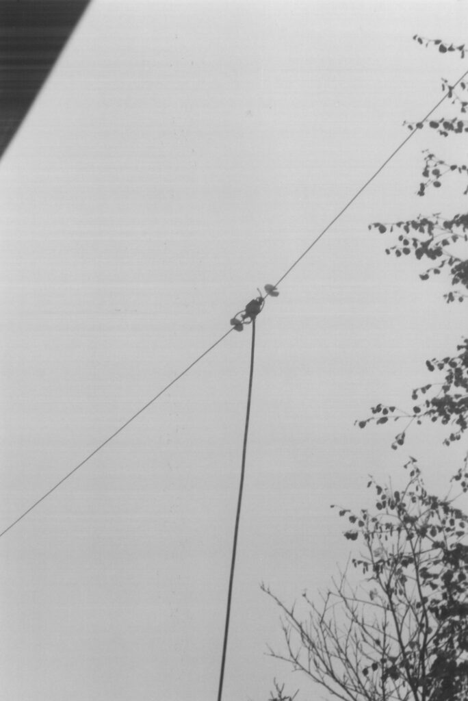 Photo FRS antenna 